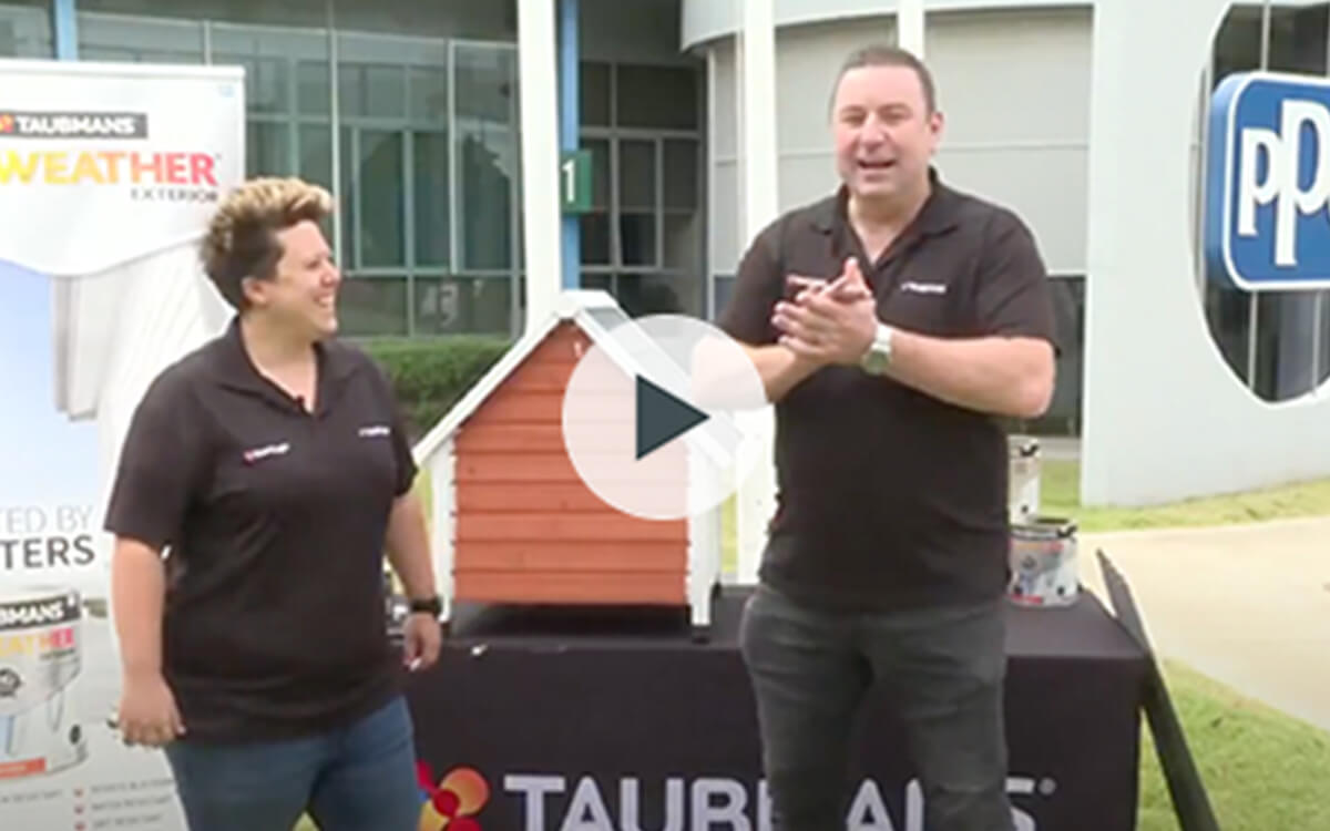 Tips to paint a dog kennel with Taubmans All Weather